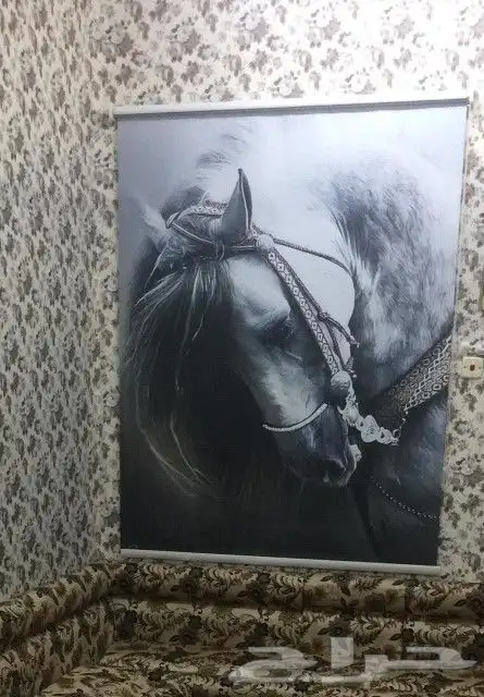 ستائر ويفي ستائر رول معارض شركات 9