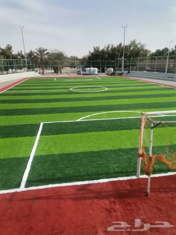 تنسيق حدائق تيل طبيعي 6