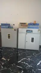 مصنع غربال لبيع الفقاسات والنتافات فل اتوماتيك 0