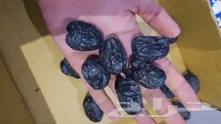 عجوة المدينة المنورة 2