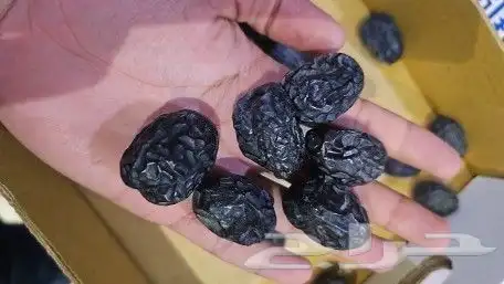 عجوة المدينة المنورة 1