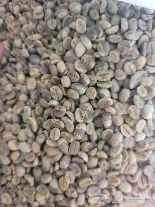 قهوه خضراء خولاني يمني 1