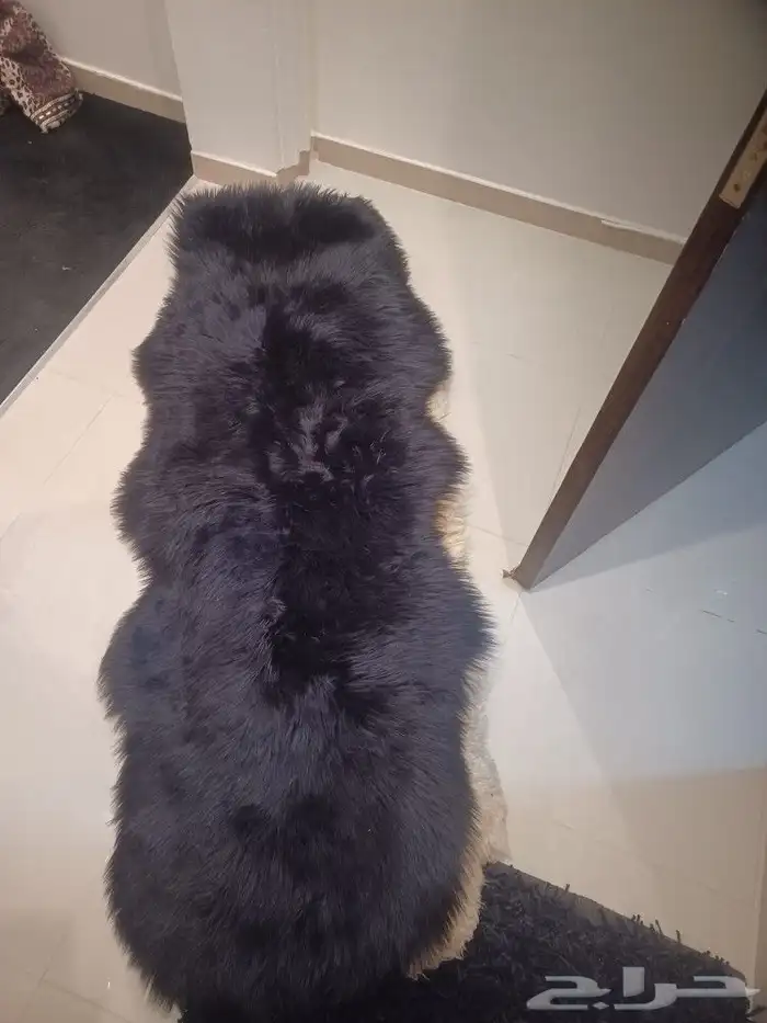 جاعد 0جواعد0 مقاعد 0السيارة منوعة0 3