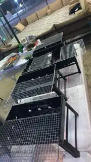 مدينه رماح وماحولها الى شويا 3