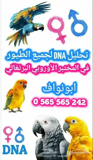 تحليل DNA- في اقوى المختبر الأوربي البرتغالي 0