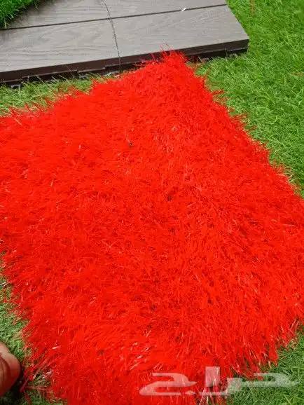 انجيلة الاوان 0