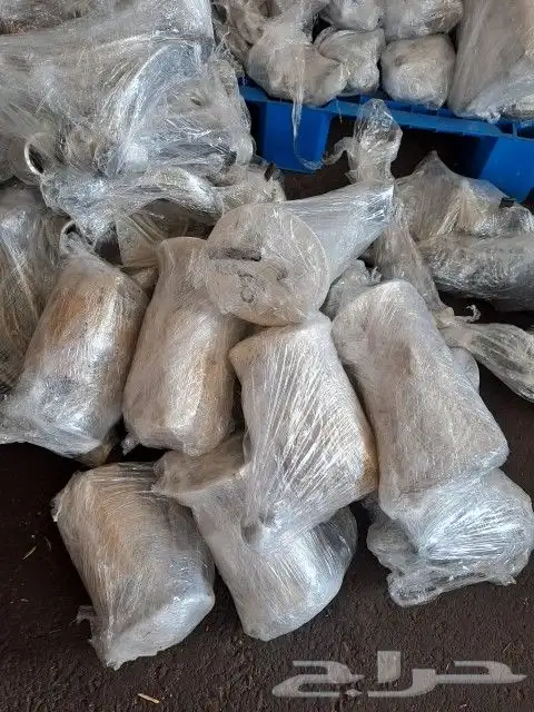 قطع غيار لكزس 7