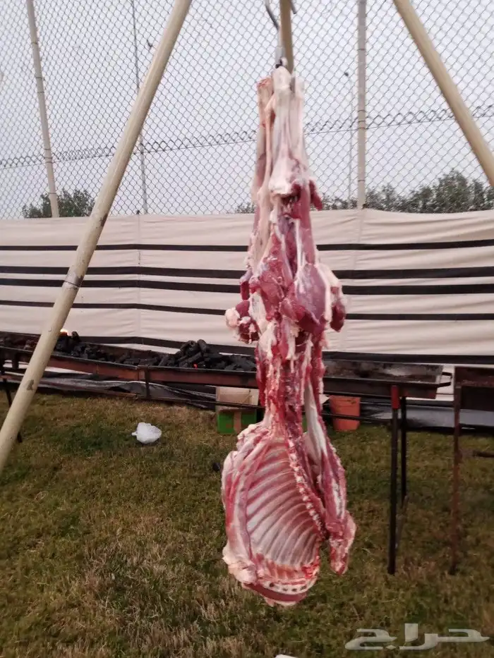 مدينه رماح وماحولها الى شويا 0