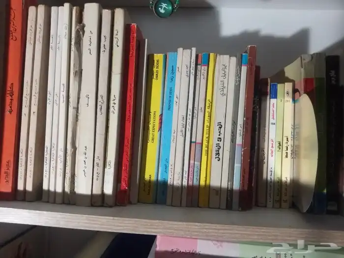 كتب في السياسة والشخصيات الهامة. وكتب في الروائيات والقصص 1