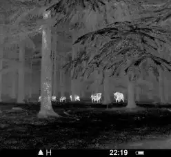 دربيل حراري ليلي اوربي بولسار من اقوى انواع الدرابيل 24