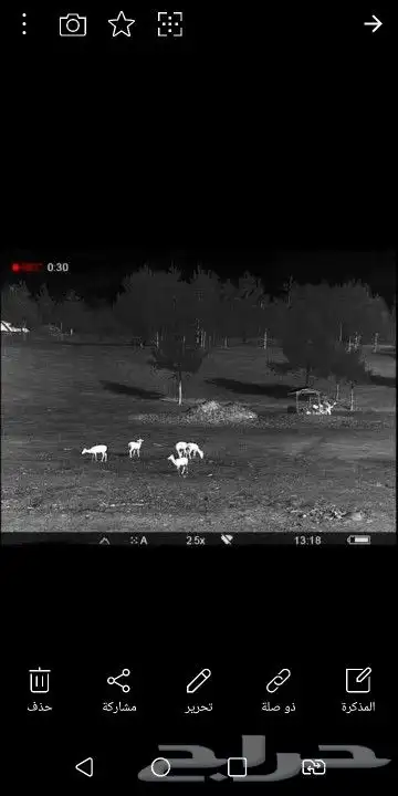 دربيل حراري ليلي اوربي بولسار من اقوى انواع الدرابيل 22