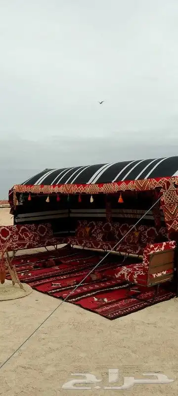 تأجير مستلزمات المناسبات والمهرجانات والاحتفالات 6