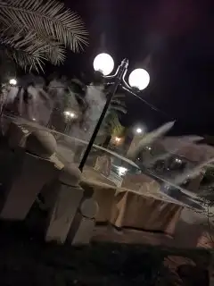 ضباب الرياض رذاذ وضباب الرياض 5
