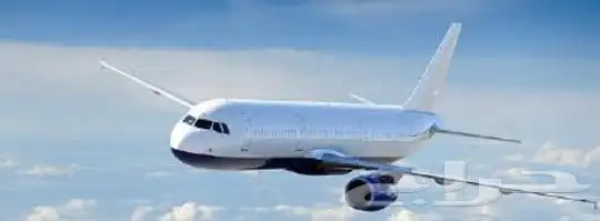 يتوفر اميال فرسان بأرخص الاسعار 0