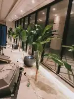 أحواض زرع طبيعي وصناعي وديكورات خارجي 4