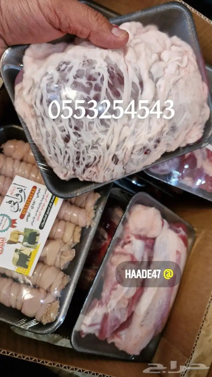 ذبايح ذبائح 5