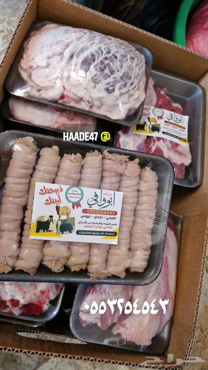 ذبايح ذبائح 4