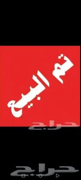 ديك بلدي 0