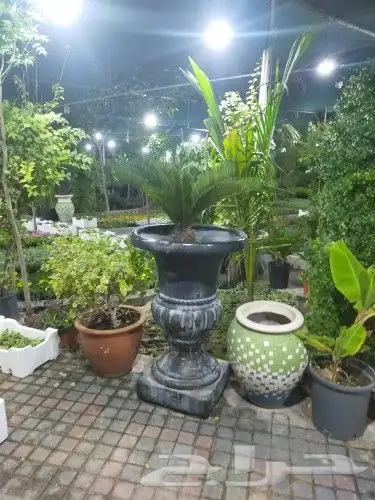 مزرع ابويوسف 7