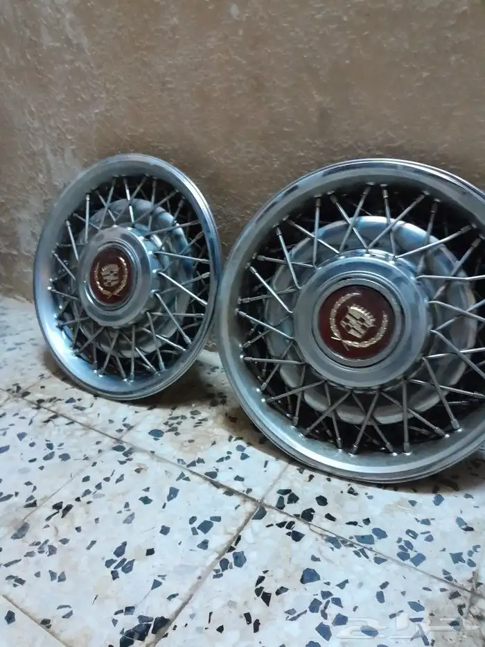 اطياس كادلك نظيفين بالاحساء 2