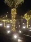 عيدك عندينا بعون الله وفضله مختصين في الاحتفلات والزينه 4