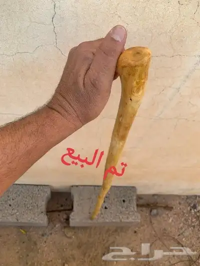 مشعاب سلم كفو ( تم البيع) 5
