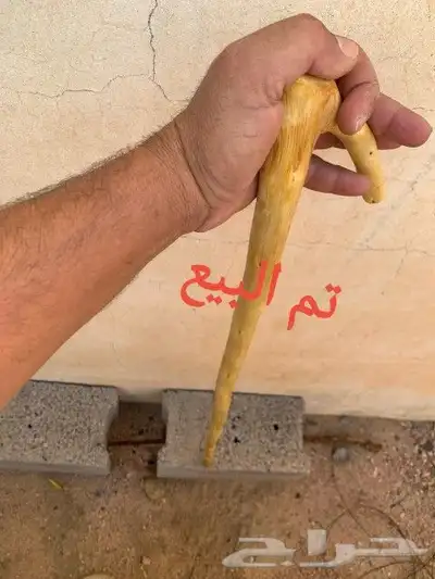 مشعاب سلم كفو ( تم البيع) 7