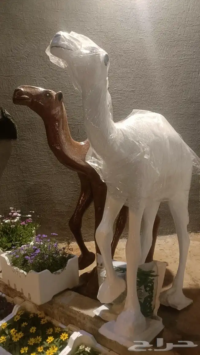 تنسيق حدائق وزراعة الثيل 7