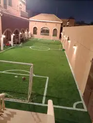 ثيل طبيعي وصناعي أعمال تنسيق وترتيب وصيانه وزراعه متاح لدينا 8