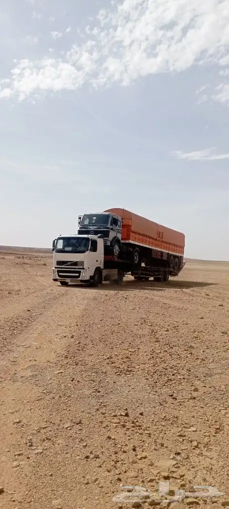 لوبد شيول للايجار و نقل 1