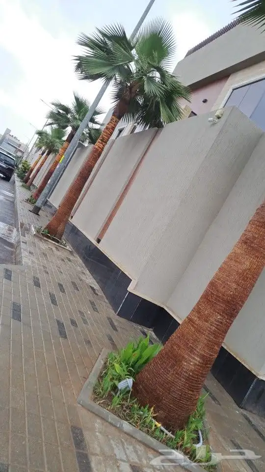 تقشير وتكريب وشنطني ونخل عربي واشجار 1