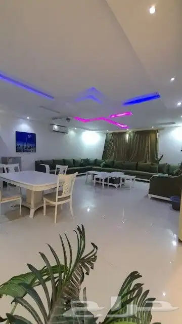 شاليهات نايت بارتي للايجار اليومي حي الرمال الرياض 11