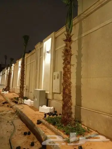 تنسيق حدائق 1