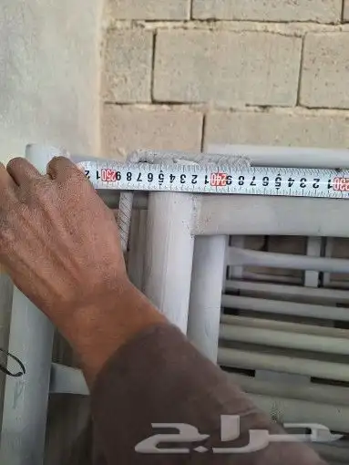 شبوك ابل 1