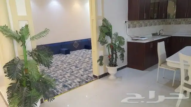 شاليهات نايت بارتي للايجار اليومي حي الرمال الرياض 9