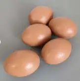 بيض دجاج صناعي 0