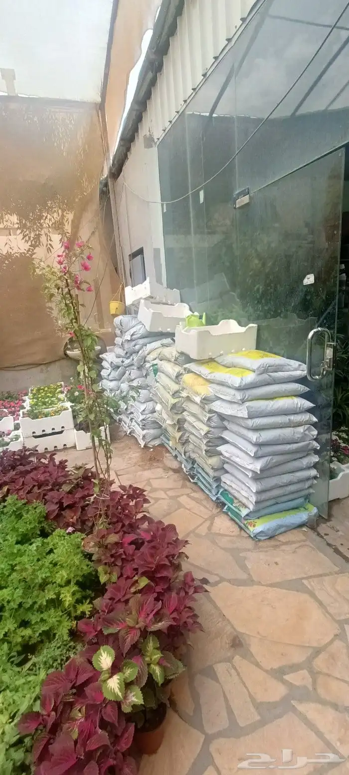 أبو سجي لتنسيق الحدائق وزراعة الأشجار الداخلى والخارجي 5