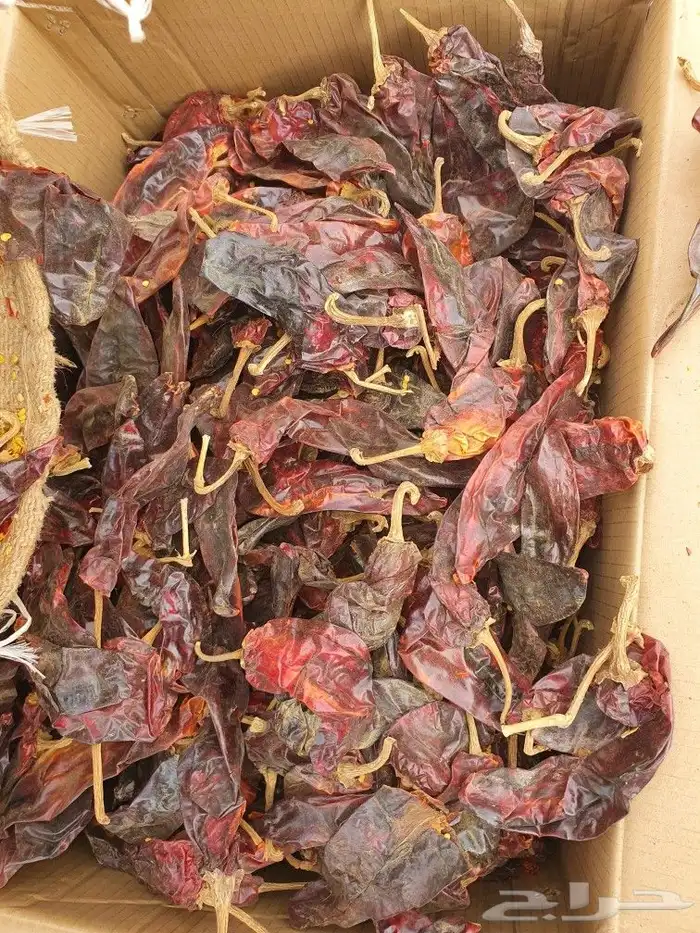 فلفل عدني يمني 0