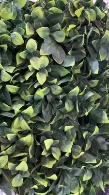 تنسيق حدائق 0