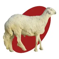 لاتاكل هم ذبيحة اتصل نصل 1