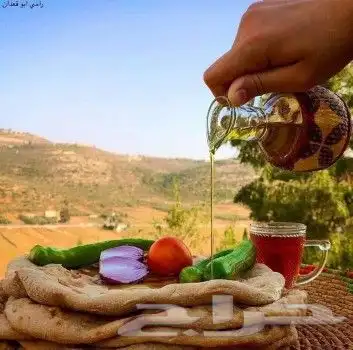 زيت زيتون فلسطيني بكر بعل جديد عضوي بعل لكل المدن 17