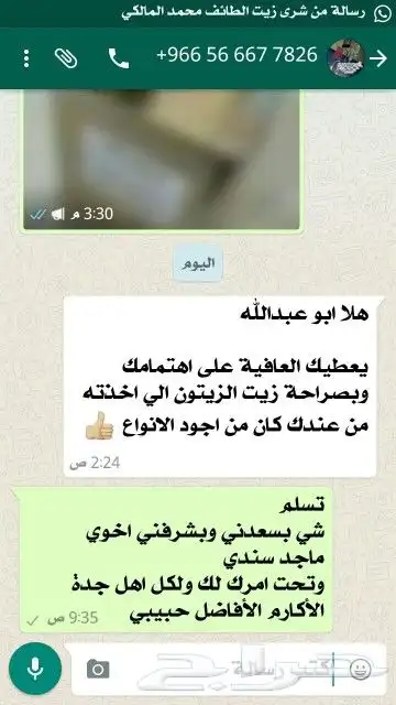 زيت زيتون فلسطيني بكر بعل جديد عضوي بعل لكل المدن 47