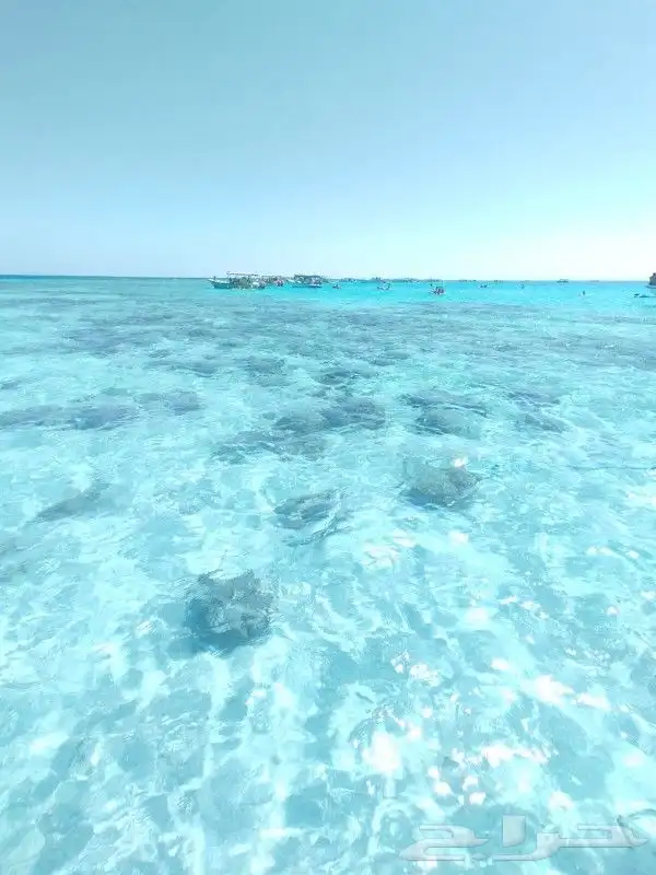 رحلات بياضه 0