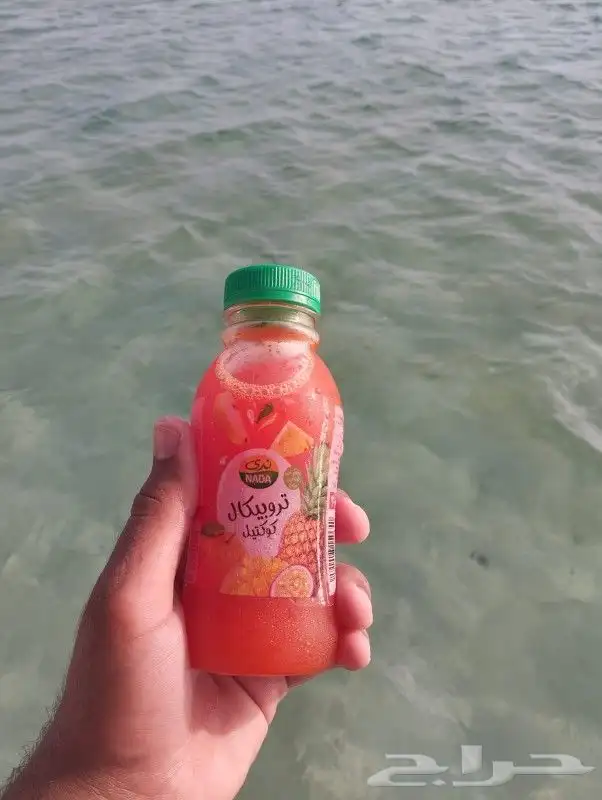 رحلات بياضه 5