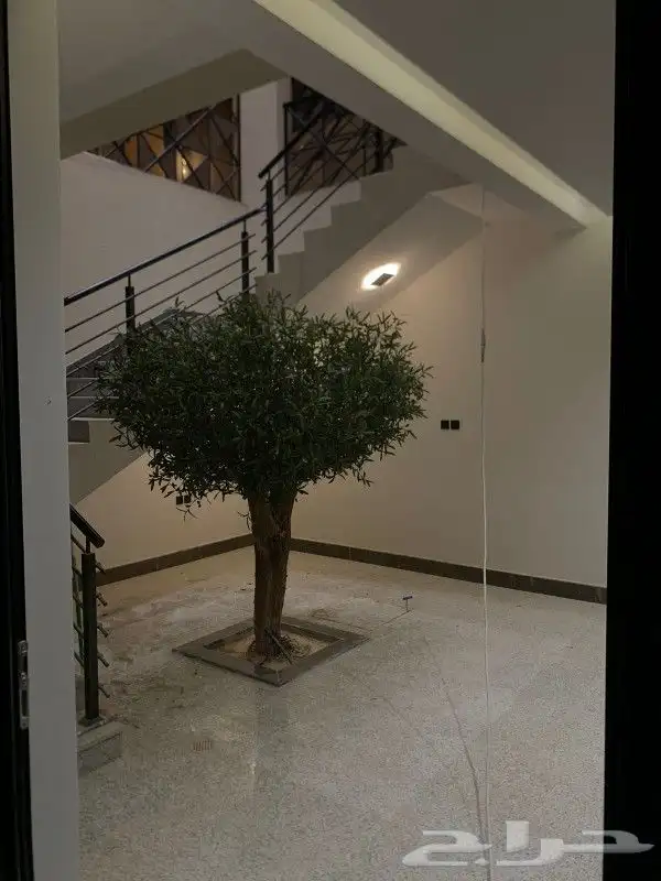 زيتون صناعي جذوع طبيعيه تفصيل حسب الطلب 5