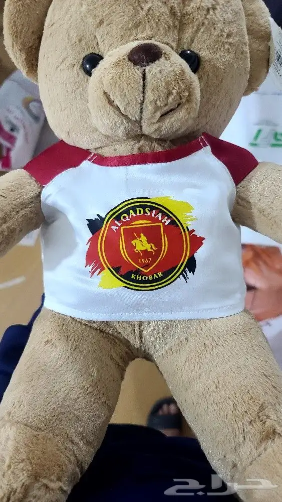 طباعة وتطريز هوديات وتيشرتات لجميع البراندات بأفضل جودة 31