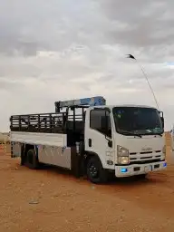 دينا ونش لي نقل الابل والبضائع 0