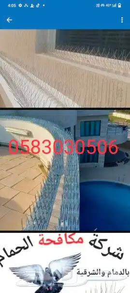 شركة طارد الحمام 11