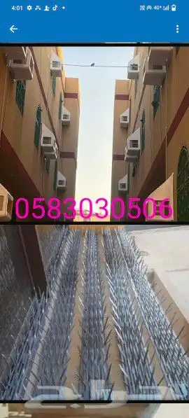 شركة طارد الحمام 12
