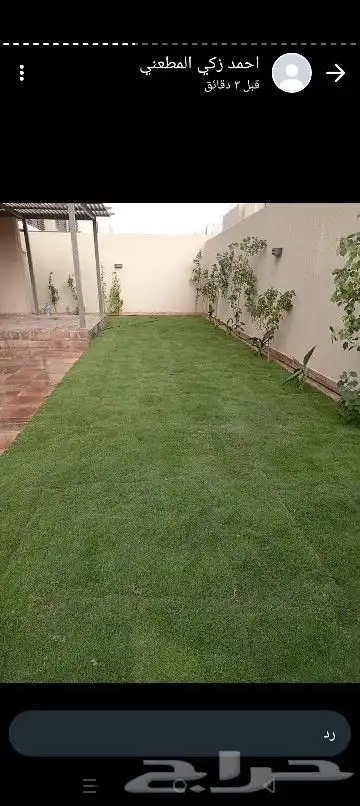 جميع انواع التنسيق طبيعي وصناعي ثيل أشجار نخيل واسعارنا جيده 3